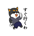 黒柴の怒り（個別スタンプ：16）