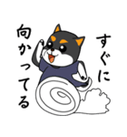 黒柴の怒り（個別スタンプ：31）