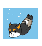 黒柴の怒り（個別スタンプ：32）