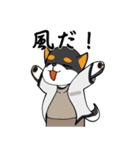 黒柴の怒り（個別スタンプ：36）