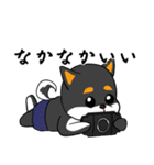 黒柴の怒り（個別スタンプ：38）