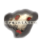 けぽてぃの日常2 （犬）（個別スタンプ：4）