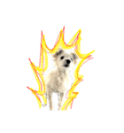 けぽてぃの日常2 （犬）（個別スタンプ：11）