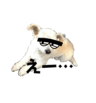 けぽてぃの日常2 （犬）（個別スタンプ：14）