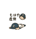 野球だいすき！ちびっこ野球少年スタンプ（個別スタンプ：11）