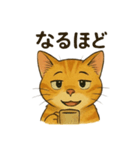 チャムくんのイラストスタンプ（個別スタンプ：21）