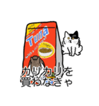 猫あるある（ぶち猫（白黒）／長毛）（個別スタンプ：1）