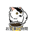 猫あるある（ぶち猫（白黒）／長毛）（個別スタンプ：3）