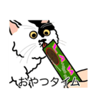 猫あるある（ぶち猫（白黒）／長毛）（個別スタンプ：4）