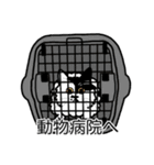 猫あるある（ぶち猫（白黒）／長毛）（個別スタンプ：8）