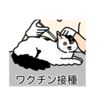 猫あるある（ぶち猫（白黒）／長毛）（個別スタンプ：9）