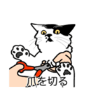 猫あるある（ぶち猫（白黒）／長毛）（個別スタンプ：11）