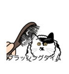 猫あるある（ぶち猫（白黒）／長毛）（個別スタンプ：12）