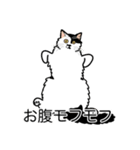 猫あるある（ぶち猫（白黒）／長毛）（個別スタンプ：14）