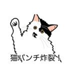 猫あるある（ぶち猫（白黒）／長毛）（個別スタンプ：17）