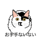 猫あるある（ぶち猫（白黒）／長毛）（個別スタンプ：19）