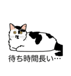 猫あるある（ぶち猫（白黒）／長毛）（個別スタンプ：22）