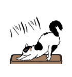 猫あるある（ぶち猫（白黒）／長毛）（個別スタンプ：28）