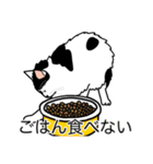 猫あるある（ぶち猫（白黒）／長毛）（個別スタンプ：32）