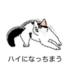 猫あるある（ぶち猫（白黒）／長毛）（個別スタンプ：38）
