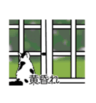 猫あるある（ぶち猫（白黒）／長毛）（個別スタンプ：40）