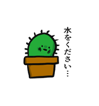 サボテンは花が咲く（個別スタンプ：24）