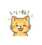 ね〜こさん（個別スタンプ：5）