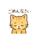 ね〜こさん（個別スタンプ：7）