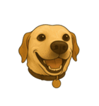 Paws ＆ Pals 〜表情豊かな動物たち〜（個別スタンプ：2）