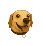 Paws ＆ Pals 〜表情豊かな動物たち〜（個別スタンプ：3）