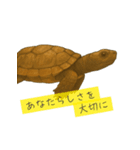 Paws ＆ Pals 〜表情豊かな動物たち〜（個別スタンプ：5）