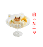 プリンアニャモード、ぷるんと一言（個別スタンプ：14）