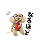 くぅるるスタンプ0407（個別スタンプ：1）