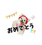 くぅるるスタンプ0407（個別スタンプ：6）