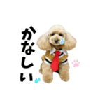 くぅるるスタンプ0407（個別スタンプ：7）