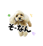 くぅるるスタンプ0407（個別スタンプ：9）