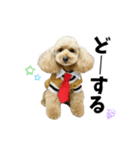 くぅるるスタンプ0407（個別スタンプ：10）