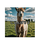 ちょっとクールなアルパカさん（個別スタンプ：3）