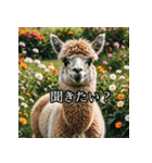 ちょっとクールなアルパカさん（個別スタンプ：33）