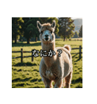 ちょっとクールなアルパカさん（個別スタンプ：39）