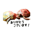 ビジネスホルス（個別スタンプ：7）