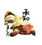 ビジネスホルス（個別スタンプ：8）