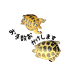 ビジネスホルス（個別スタンプ：9）