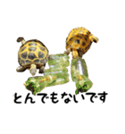 ビジネスホルス（個別スタンプ：10）