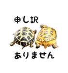 ビジネスホルス（個別スタンプ：12）