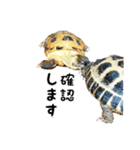 ビジネスホルス（個別スタンプ：13）