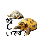 ビジネスホルス（個別スタンプ：18）