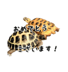 ビジネスホルス（個別スタンプ：20）
