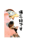 ビジネスホルス（個別スタンプ：23）