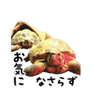 ビジネスホルス（個別スタンプ：26）